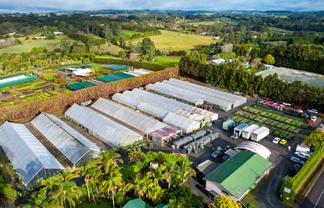 Thriving Nursery Business - Kerikeri