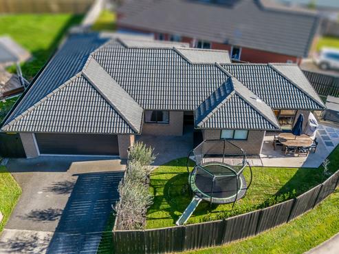 31 Tupelo Street, Pukete