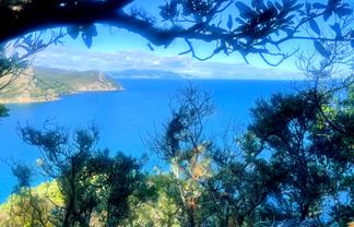 552 Blind Bay Road, Great Barrier Island