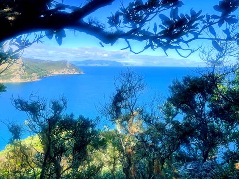 552 Blind Bay Road, Great Barrier Island
