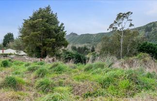 44 Wi Tako Street, Manakau