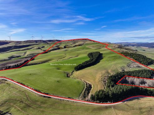 81 Waikana Road, Gore Surrounds