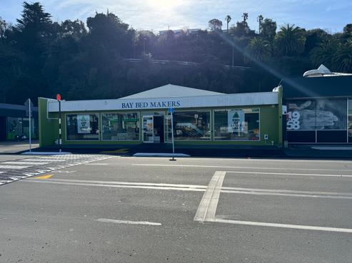 35 Carlyle Street, Napier South