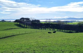 80 Wilson Road, South Head, Helensville