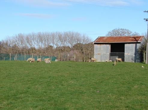 50 Mckellar Road, Tisbury