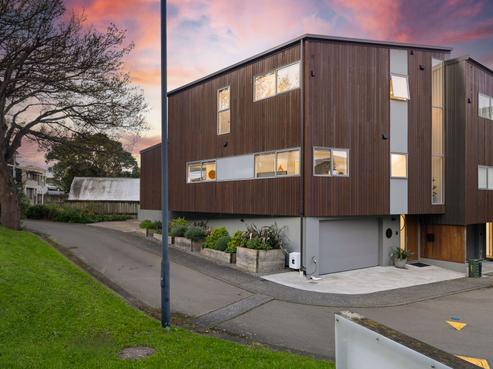 3 Salmont Place, Kelburn