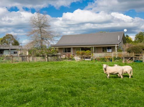 16 Maclaurin Road, Makauri