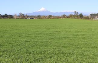 127 Kairau Road East, Brixton