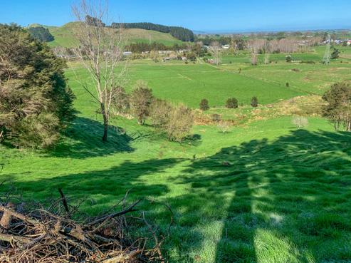 133 Neavesville Road, Puriri