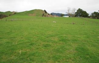 1381 Mangaehu Road, Pohokura and Surrounds