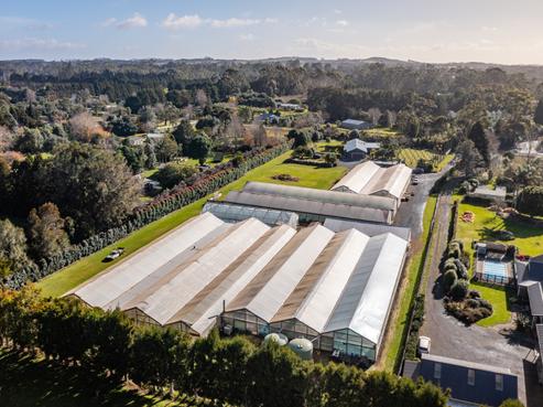 141 Pungaere Road, Kerikeri Surrounds