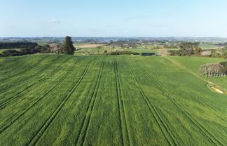 41 McNaughten Road, Karioitahi