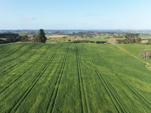 41 McNaughten Road, Waiuku