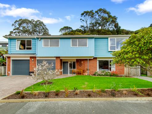 52 Peterhouse Street, Tawa
