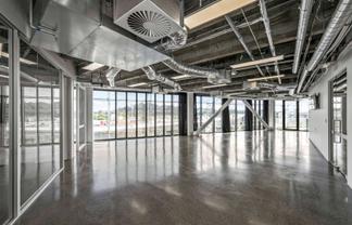 Pristine Remuera office