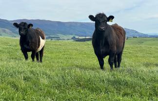 2050 Caffell Road, Edievale