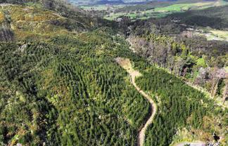 KAIPARA COAST HIGHWAY, Glorit