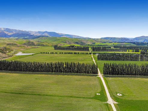 143 Otiake Road, Kurow