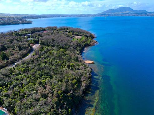 77 Parawera Drive, Acacia Bay