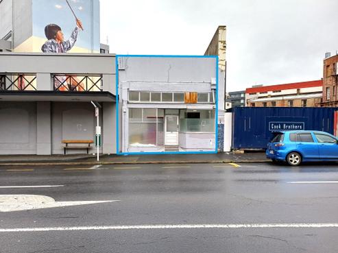 167 Rattray Street, Dunedin Central