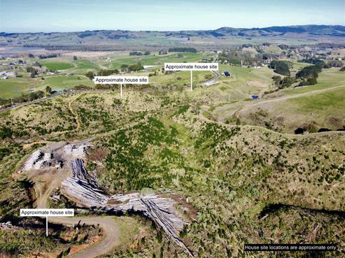 80 Cameron Town Road, Pukekohe