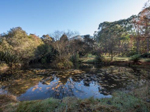 168 Graham Valley Road, Ngatimoti