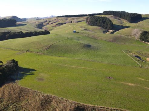 597 Weber Road, Dannevirke