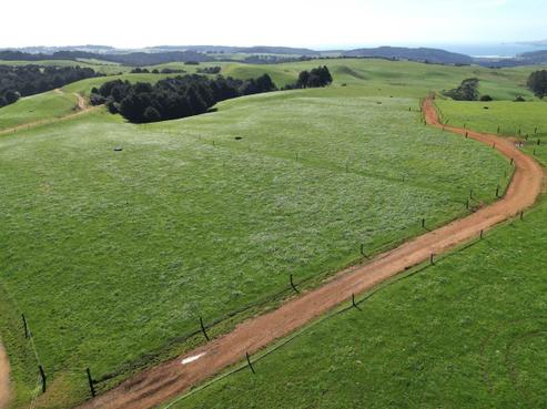 75 Hauriri Road, Kaeo