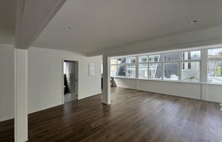 Penthouse Character Office