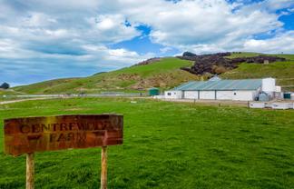 753 Parkers Bush Road, WAIMATE