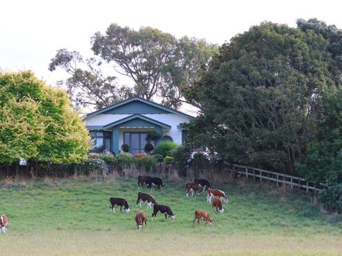 363 State Highway 1, Levin