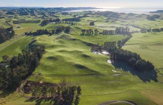 285 Grassmere Road, Lake Grassmere