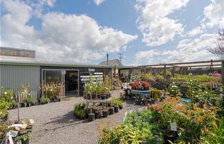 Established Garden Centre - Business Opportunity