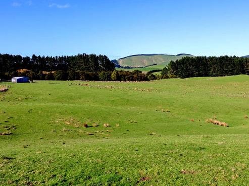 98 Millstream Road, Dannevirke