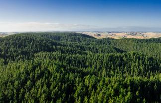  Whanganui Estate, Brunswick