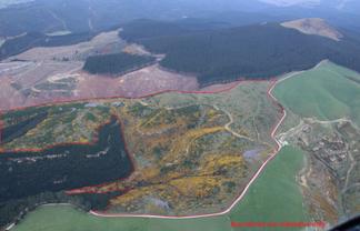  Mount Trotter Road, Palmerston