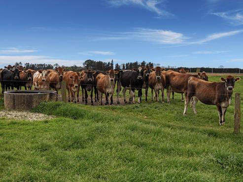 348 Grieve Road, Te Teko