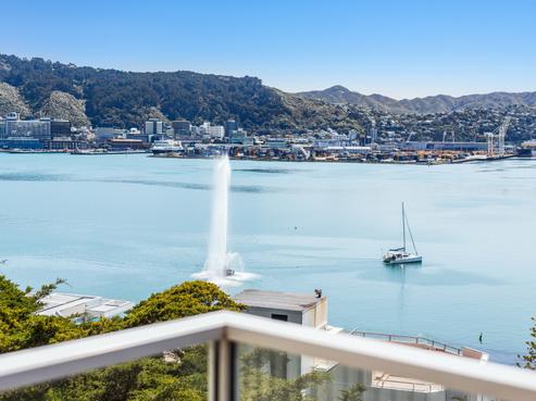 5/9 Wilkinson Street, Oriental Bay