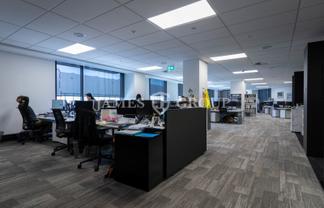 PREMIUM GREEN STAR PARNELL OFFICE