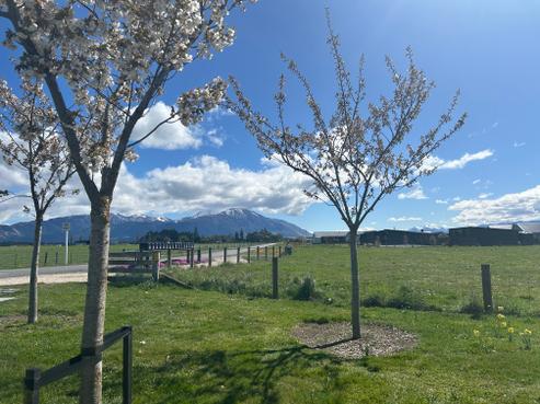 4 Mount Harding Road, Methven