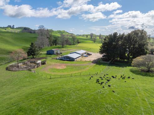 246 Parapara Road, Tirau