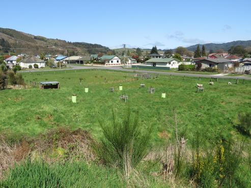 7 Herald Street, Reefton