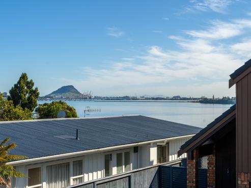19A Vine Avenue, Maungatapu