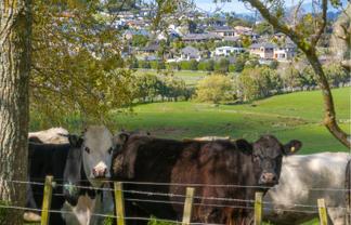 563 State Highway 23, Temple View