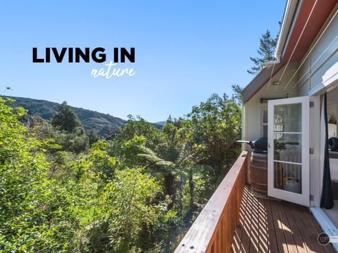 166 Seddon Street, Naenae
