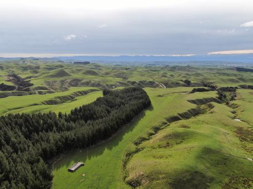 304 Middleton Road, Waipukurau and Surrounds
