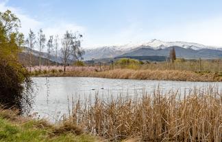 192 Strode Road, Earnscleugh, Clyde