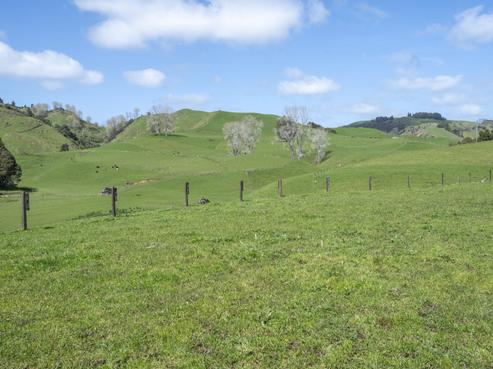 1211 State Highway 4, Te Kuiti