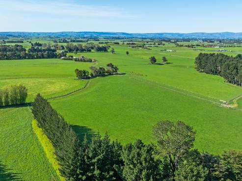 259 Aorangi Road, Feilding