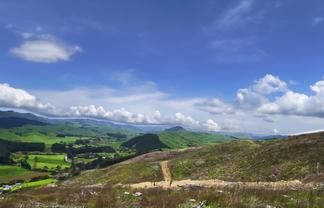  Millgo Forest, Masterton